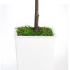 Artificial Olive Tree 7FT with Pot and Moss, Artificial Plants for Home Office Decor