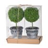 S/2 D4x9.5" Mini Faux Topiaries in Black Pot